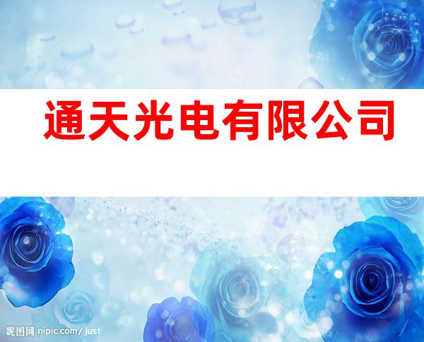 通天光电有限公司